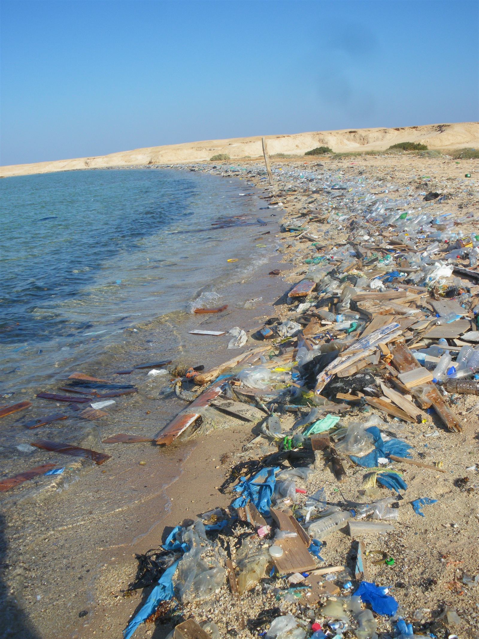 Plastic bottles washed up on a beach